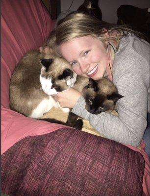 Bay Veterinary Clinic