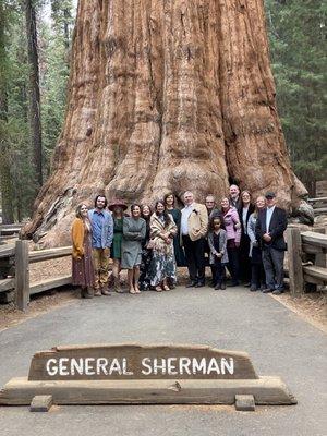Sequoia Sightseeing Tours