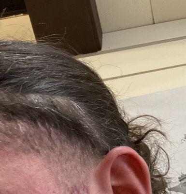 Wilson's Barbershop & Shave Parlor