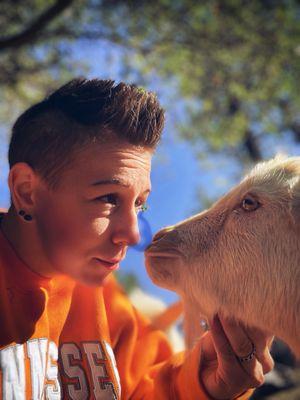 Central Veterinary Hospital - Northeast