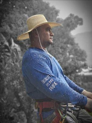 Sultan's Tree Surgeon Expert