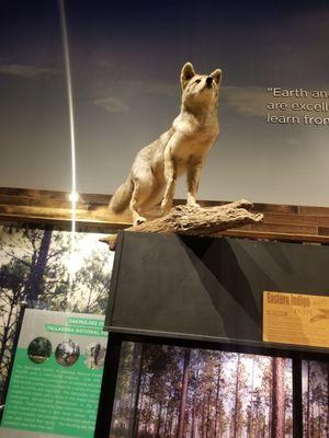 Alabama Wildlife Federation