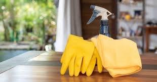 Amelia's Amazing Mobile Interior Detailing