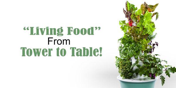 Faiths Grace Daycare