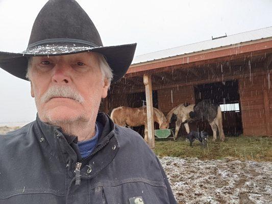 Kringen Oil Properties