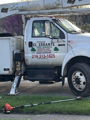 El Errante Tree & Landscaping Service