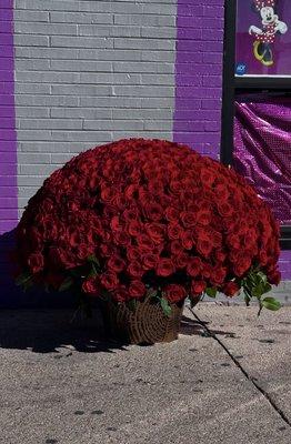 Thank you for making this day unforgettable 444 roses sounded like something unreal