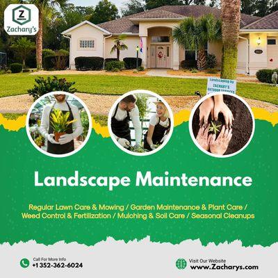 Beverly Hills FL Website Service