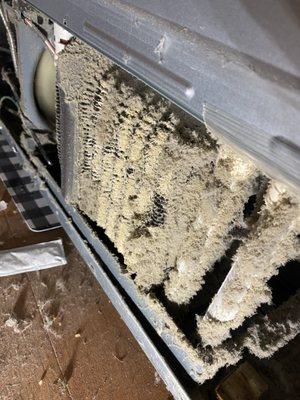 3N1 Appliance Repair