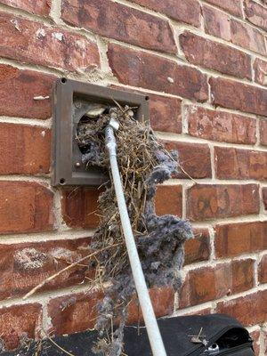 Dryer Vent Cleaning