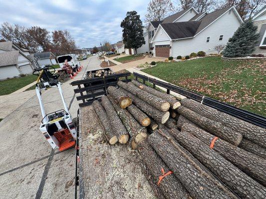Midwest Tree Surgeons