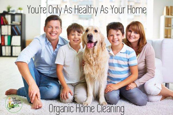 The Green Steam Cleaners