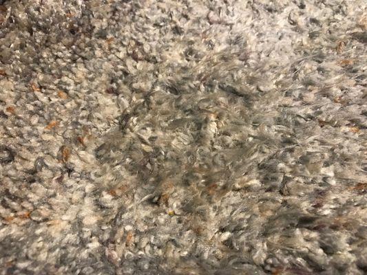 Ozark Carpet & Flooring