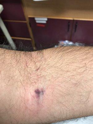 Tallahassee Memorial Urgent Care Center in Southwood