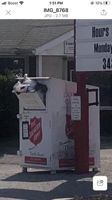 The Salvation Army