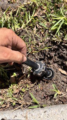 Silva’s Great Lawn Services