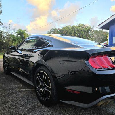 Auto Stylin' and Performance