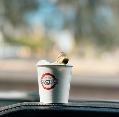 Scooter's Coffee