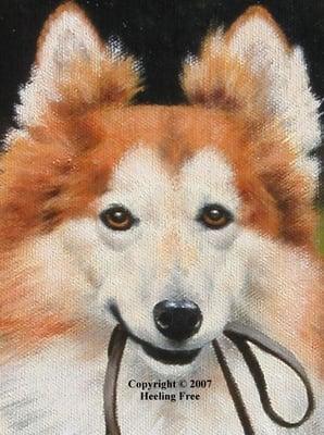 Heeling Free-Dog School