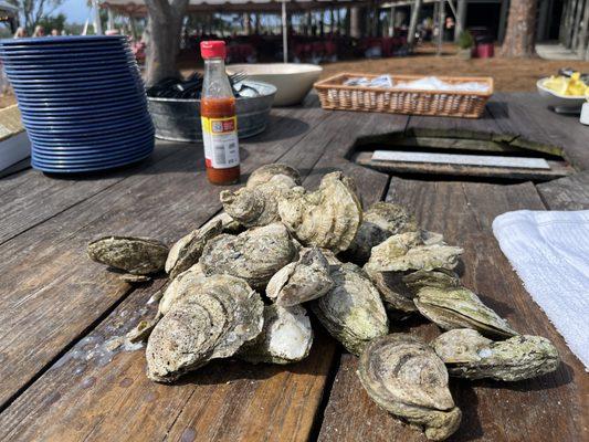 Learned how to shuck these bad boys
