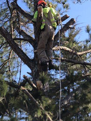 Locklears lot Clearing