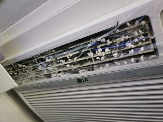 The Crossing at Arroyo Trail