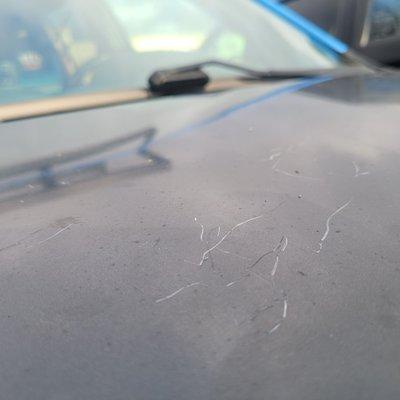 Low Price Auto Glass