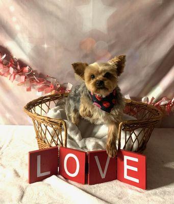 Perfectly groomed by Leslie