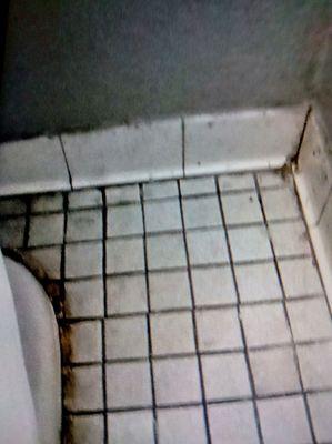 Oh my goodness! This was horrible to see. Corner flooring near the toilet. Look at that toilet!! Yuck!!