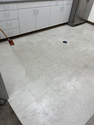 Cleanitize Solutions