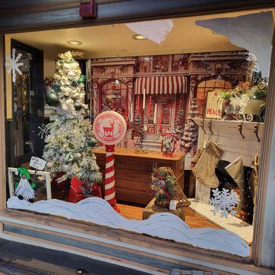Christmas Display Window
