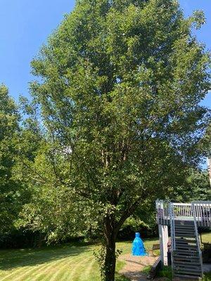 B Hills Property Services