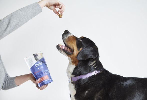 Ladson Veterinary Hospital