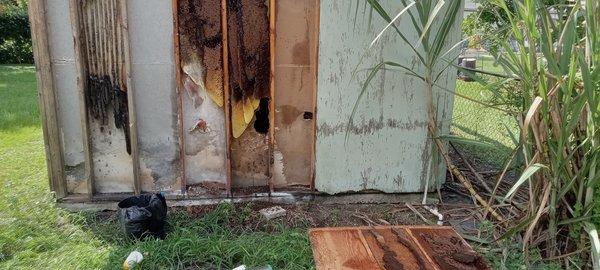 The Bee Guys Wildlife and Pest Management