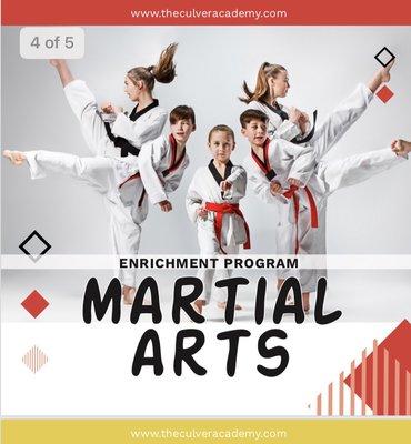 Martial arts program