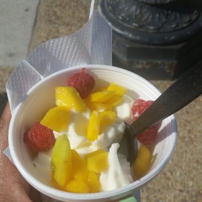 Froyotogo