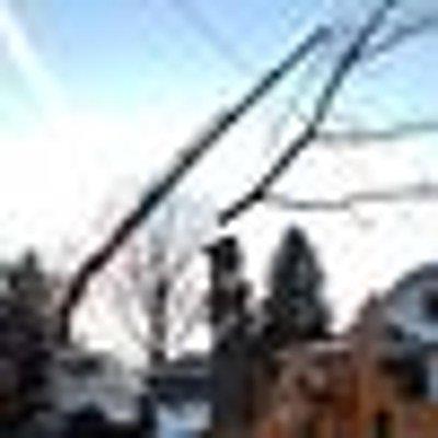 Beyond The Leaf Tree & Shrub Experts, LLC