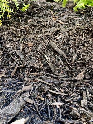 Fresh Black Mulch! 100% Organic~