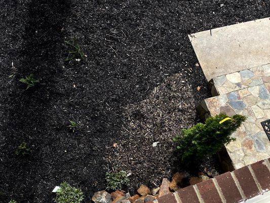 Bryson Doug Grading & Hauling