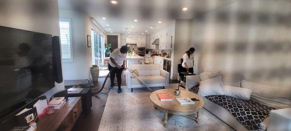 Dust Bunnies of Orange County