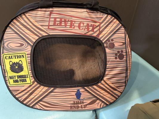 Southside Animal Hospital