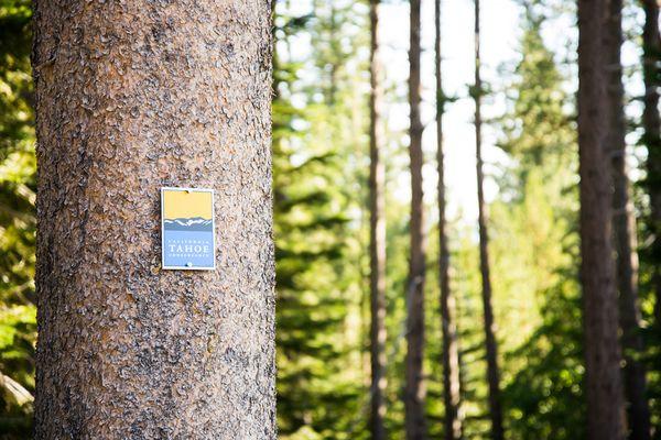 California Tahoe Conservancy