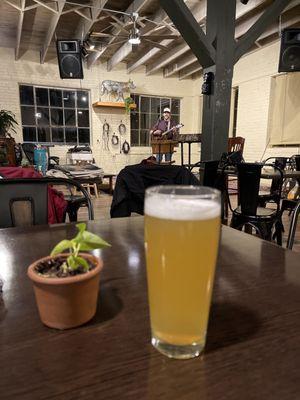 Sweetbay Brewing Company