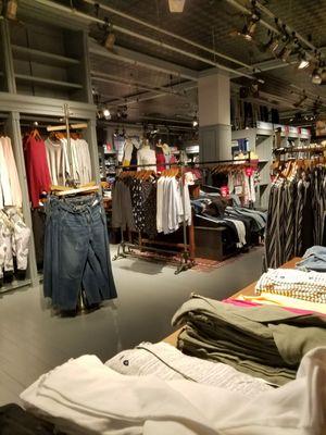 Hollister