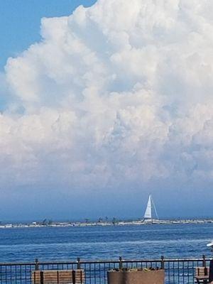 Chicago Lakeview Notary Public