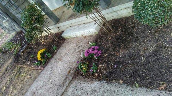 Custom Landscape services, Fayetteville - Landscape Workshop