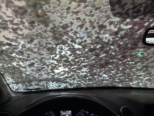 Touchless Car Wash