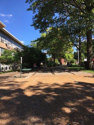 Saint Xavier University