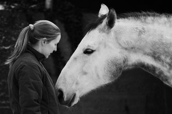 Shiloh Stables