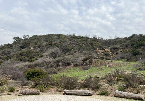Laguna Canyon Foundation